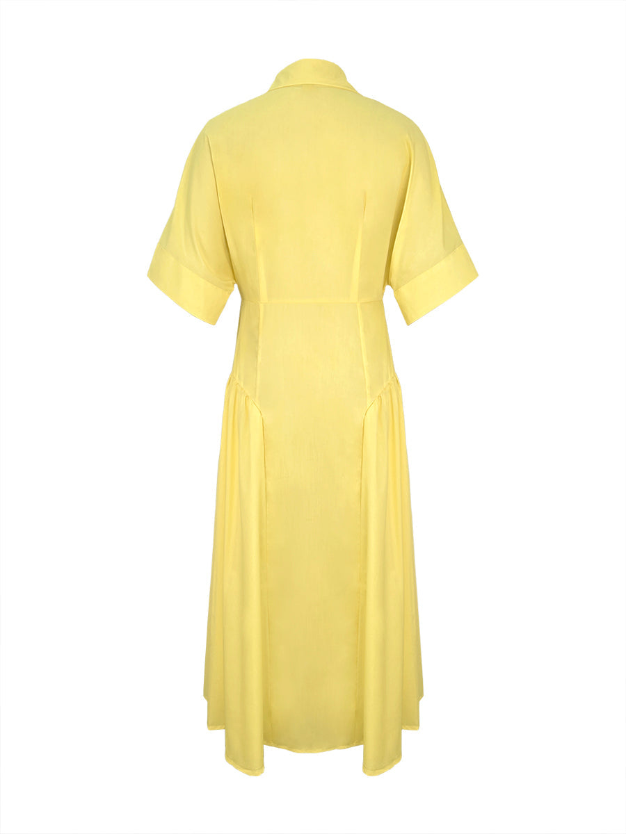 Delphine | Buttoned midi shirt dress with pleated waist