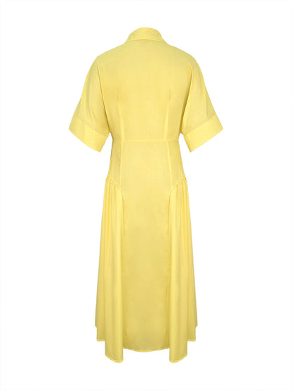 Delphine | Buttoned midi shirt dress with pleated waist