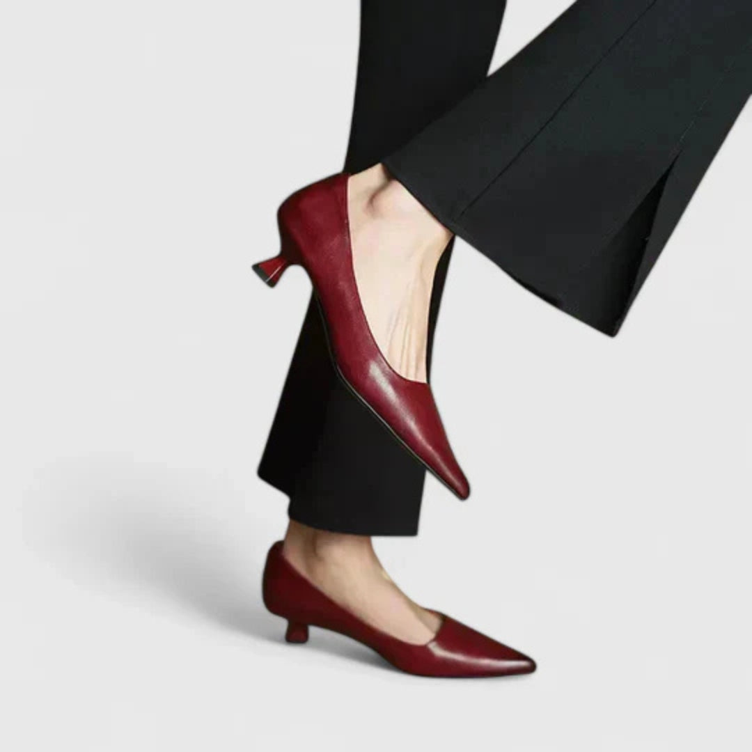 Palina | Women Pointed Toe Low Heel Pumps with Slip On Design